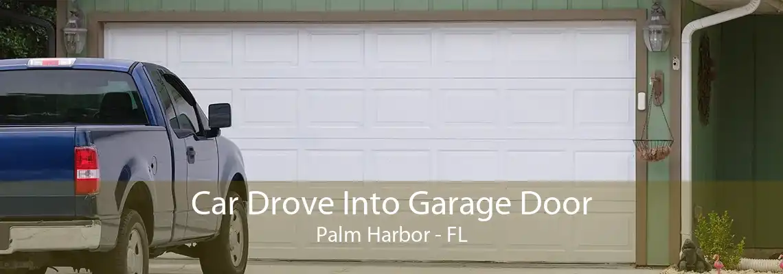 Car Drove Into Garage Door Palm Harbor - FL