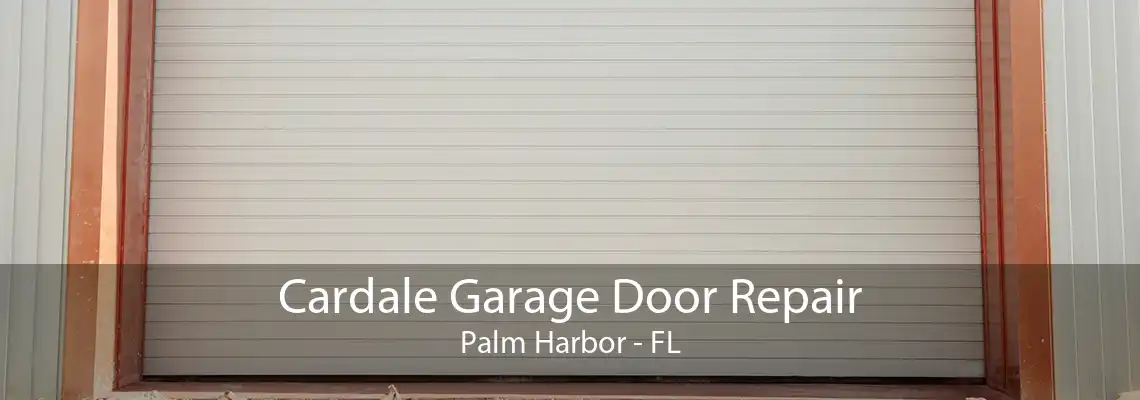 Cardale Garage Door Repair Palm Harbor - FL