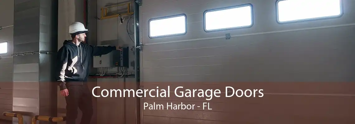 Commercial Garage Doors Palm Harbor - FL