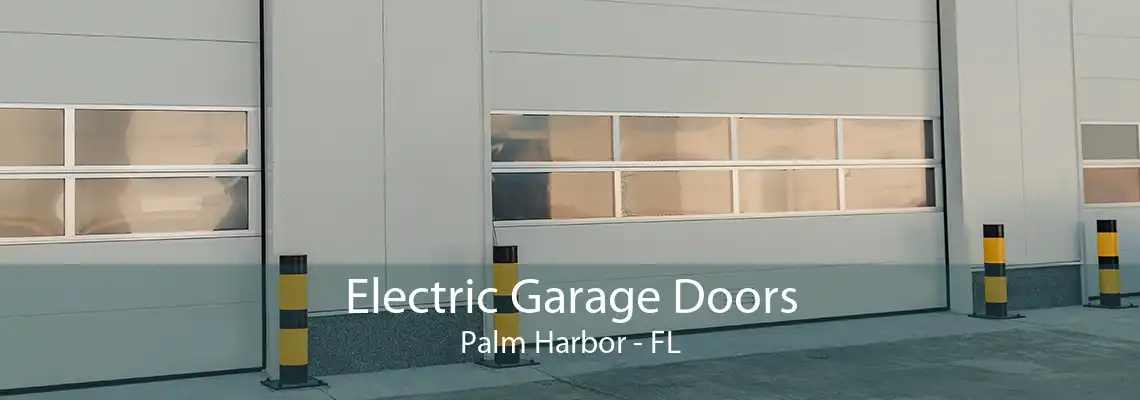 Electric Garage Doors Palm Harbor - FL