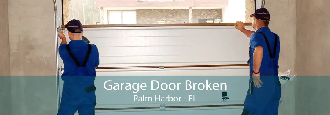 Garage Door Broken Palm Harbor - FL