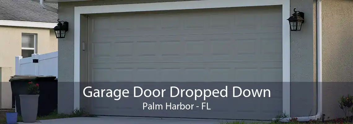 Garage Door Dropped Down Palm Harbor - FL