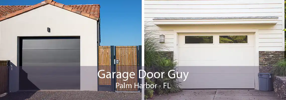 Garage Door Guy Palm Harbor - FL