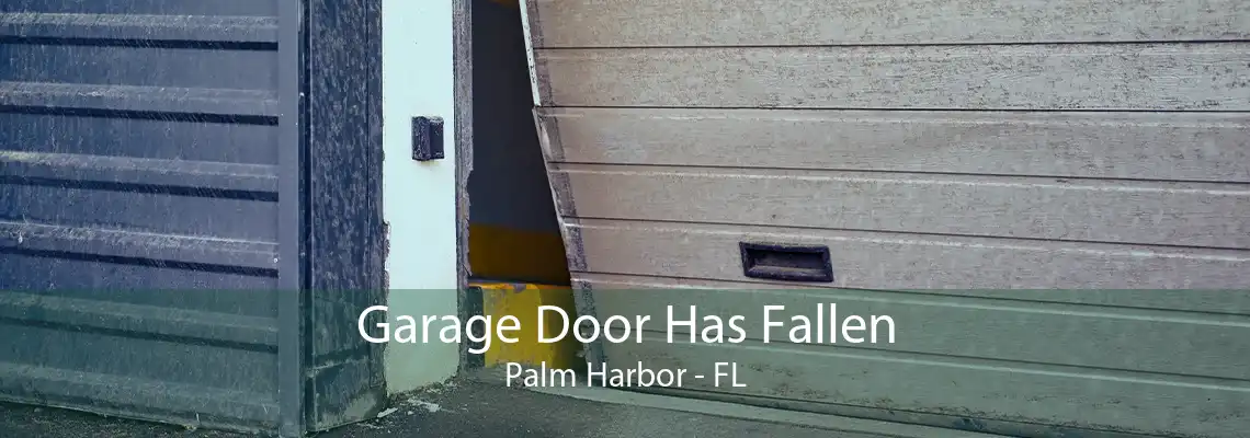 Garage Door Has Fallen Palm Harbor - FL