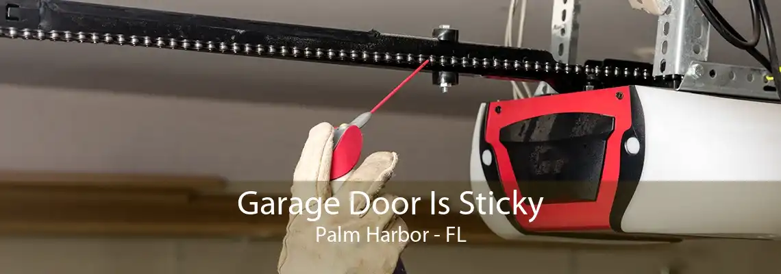 Garage Door Is Sticky Palm Harbor - FL