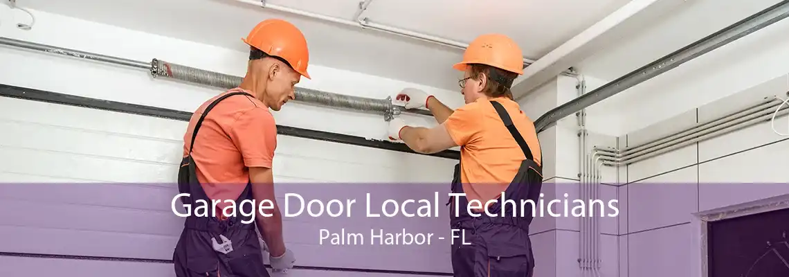 Garage Door Local Technicians Palm Harbor - FL