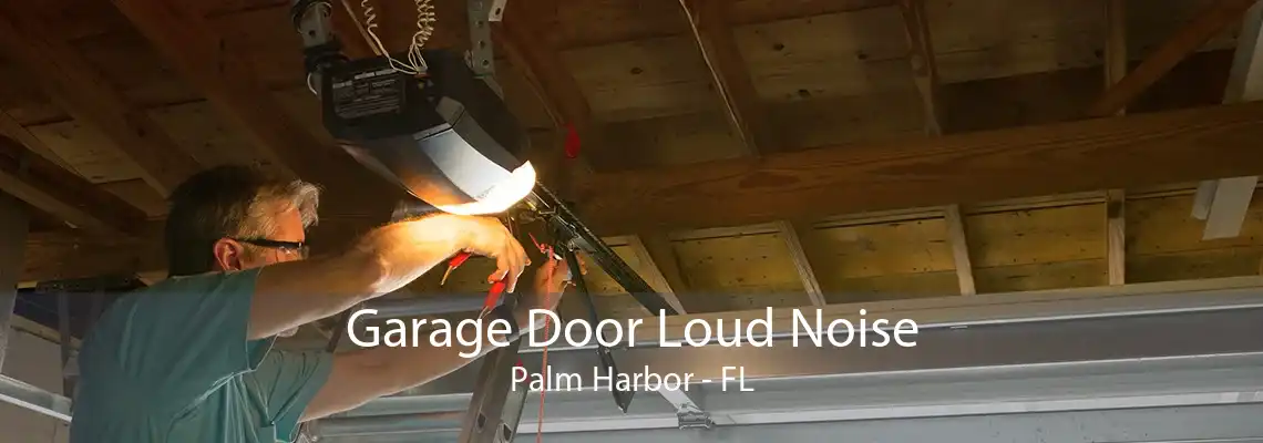 Garage Door Loud Noise Palm Harbor - FL