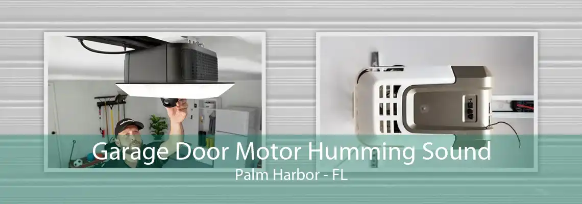 Garage Door Motor Humming Sound Palm Harbor - FL