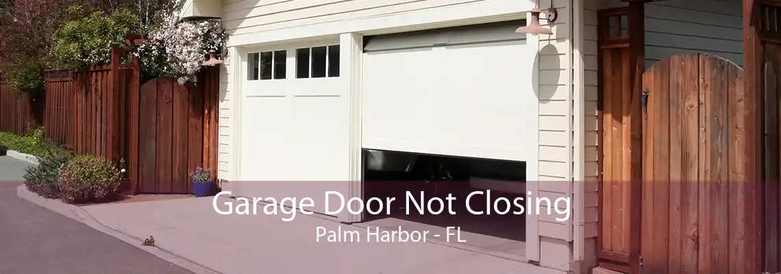 Garage Door Not Closing Palm Harbor - FL