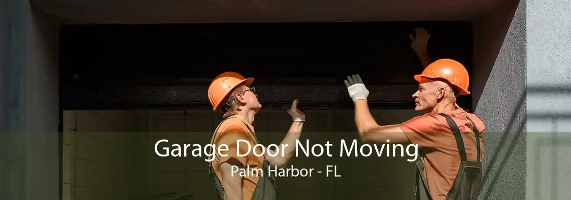 Garage Door Not Moving Palm Harbor - FL