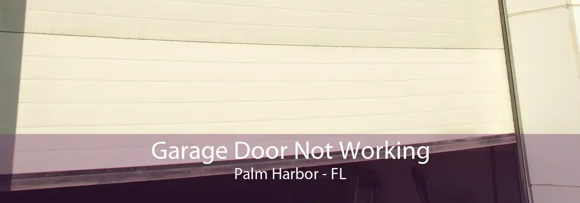 Garage Door Not Working Palm Harbor - FL