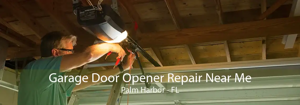 Garage Door Opener Repair Near Me Palm Harbor - FL