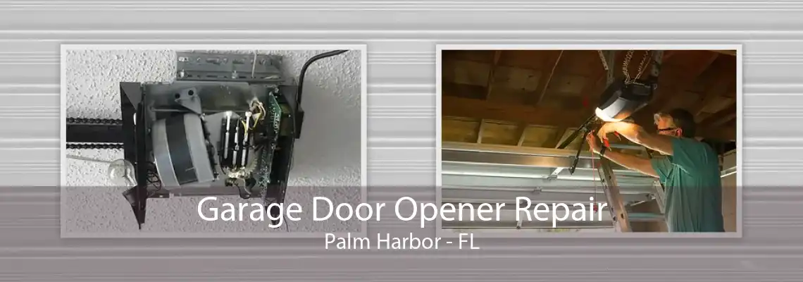 Garage Door Opener Repair Palm Harbor - FL