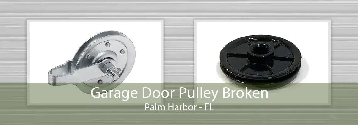 Garage Door Pulley Broken Palm Harbor - FL