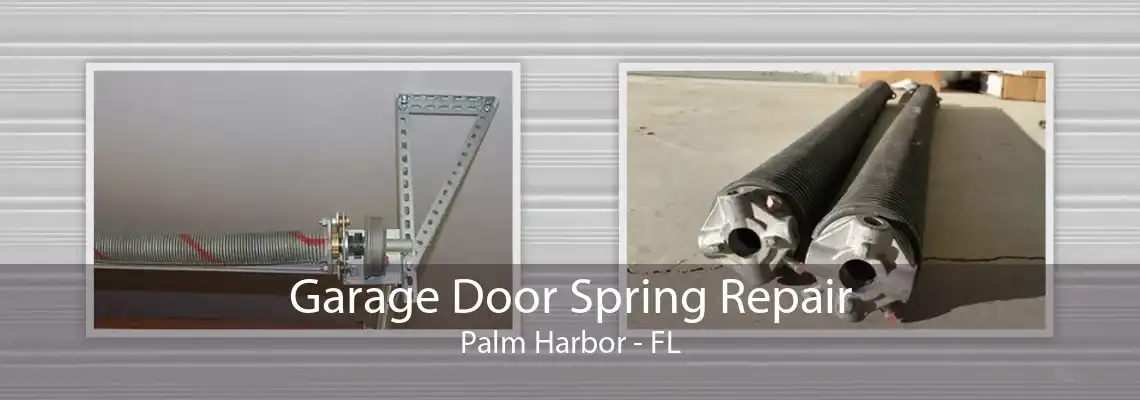 Garage Door Spring Repair Palm Harbor - FL