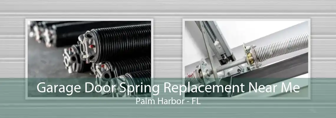 Garage Door Spring Replacement Near Me Palm Harbor - FL