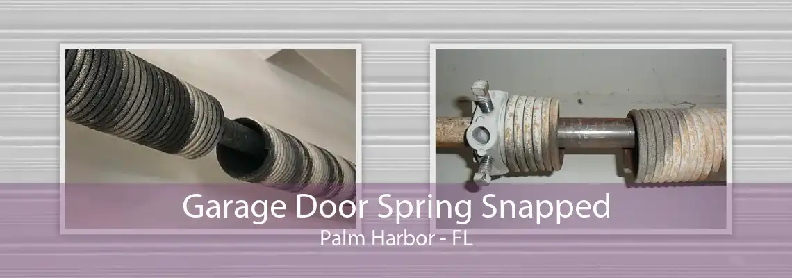 Garage Door Spring Snapped Palm Harbor - FL