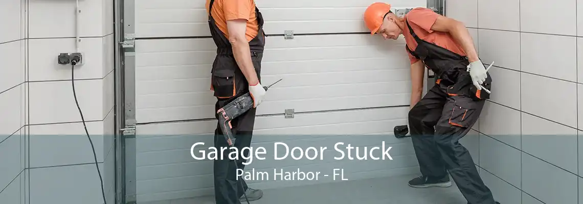 Garage Door Stuck Palm Harbor - FL