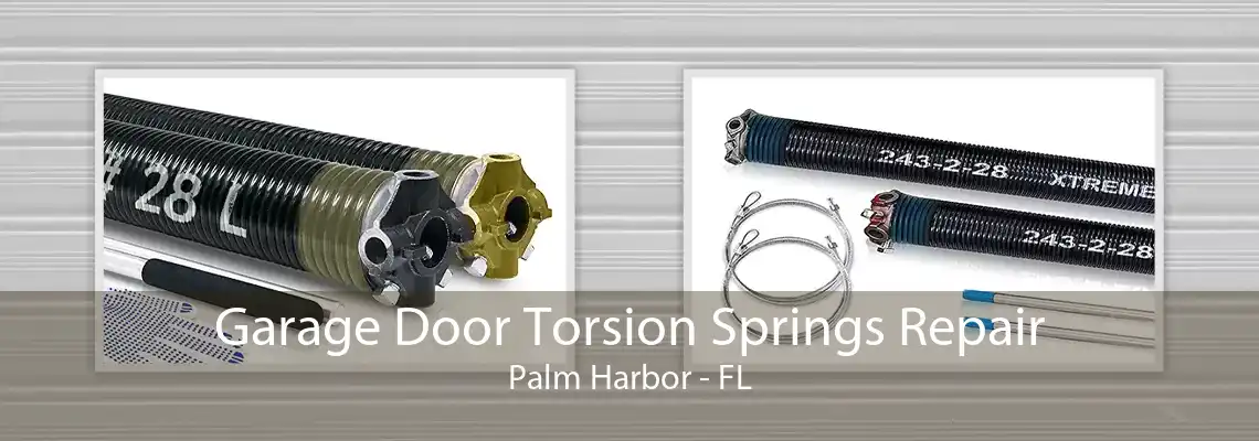 Garage Door Torsion Springs Repair Palm Harbor - FL