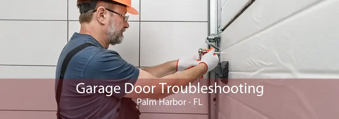 Garage Door Troubleshooting Palm Harbor - FL