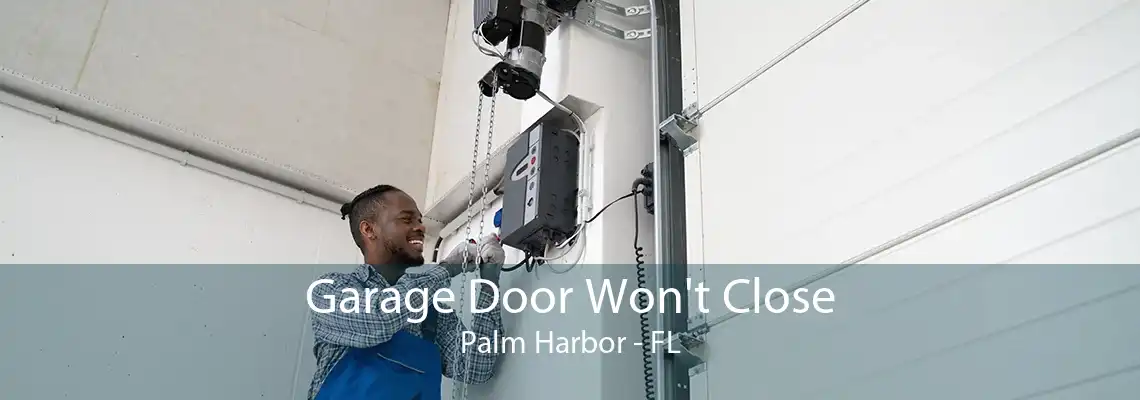 Garage Door Won't Close Palm Harbor - FL