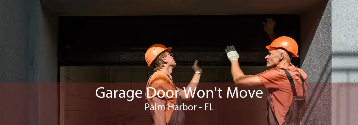 Garage Door Won't Move Palm Harbor - FL