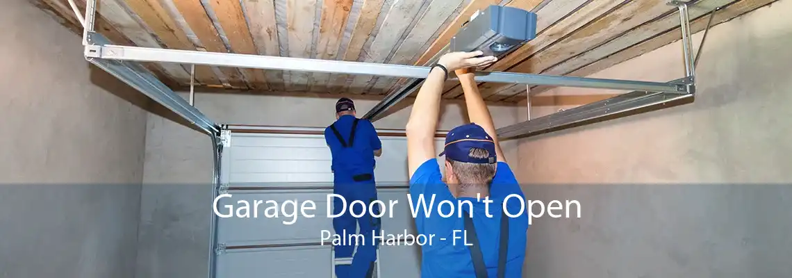 Garage Door Won't Open Palm Harbor - FL