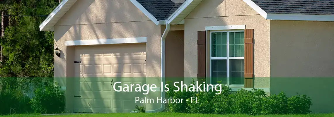 Garage Is Shaking Palm Harbor - FL