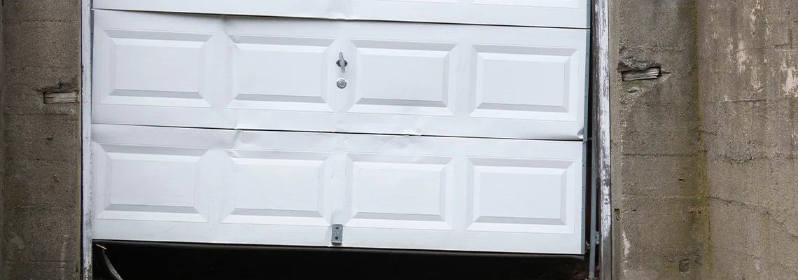 Garage Door Got Hit By A Car Dent Removal in Palm Harbor, FL