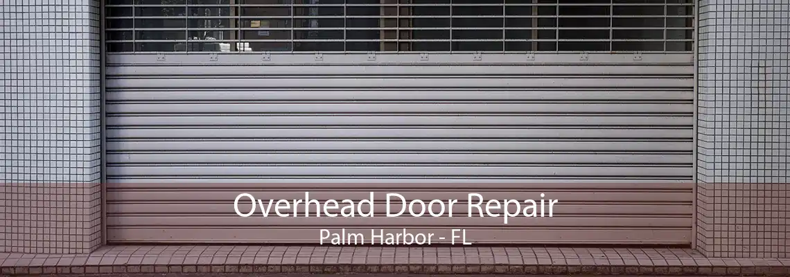 Overhead Door Repair Palm Harbor - FL