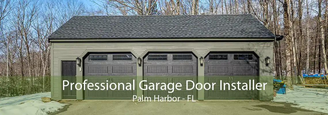 Professional Garage Door Installer Palm Harbor - FL