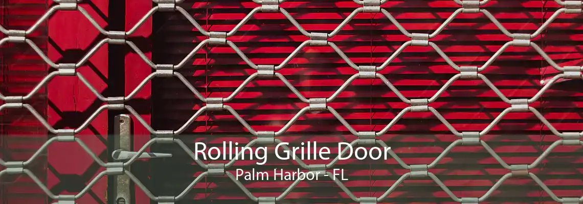 Rolling Grille Door Palm Harbor - FL