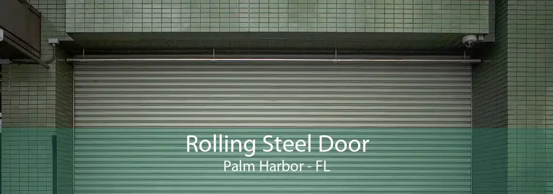 Rolling Steel Door Palm Harbor - FL