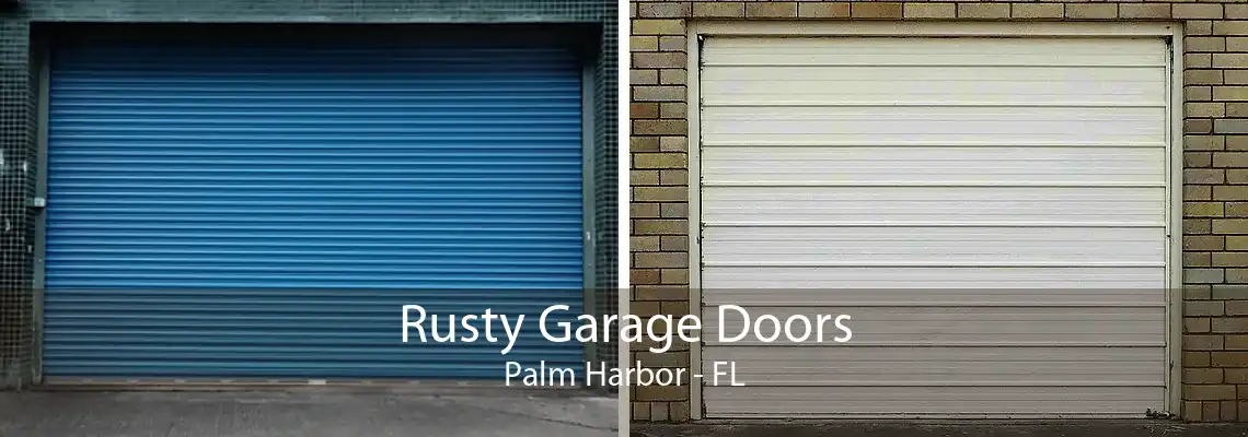 Rusty Garage Doors Palm Harbor - FL