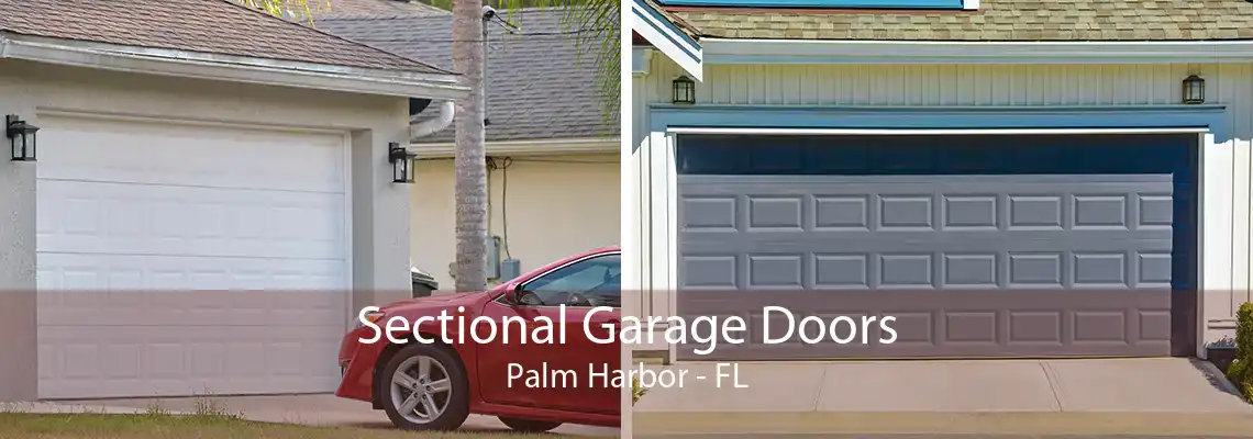 Sectional Garage Doors Palm Harbor - FL