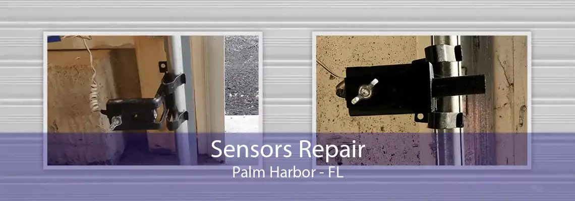 Sensors Repair Palm Harbor - FL